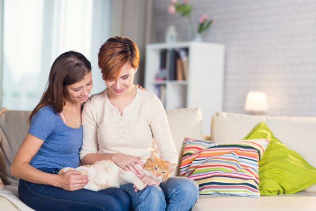 Making a will: what would happen to your pet in the event of your death?